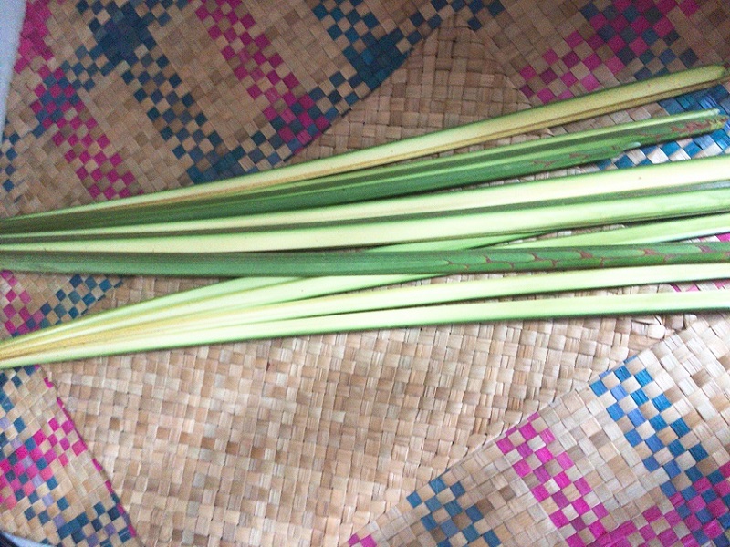 Daun Ketupat Palas Before Woven