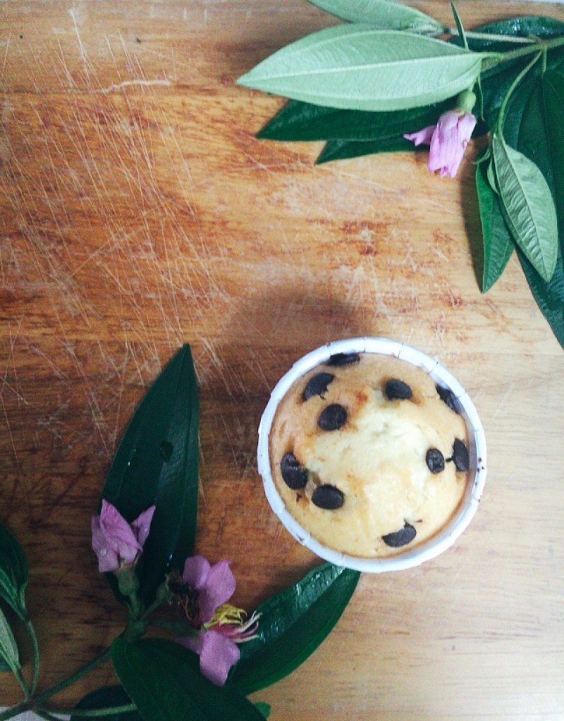 Vanilla Cupcake with Chocolate Chips As Topping