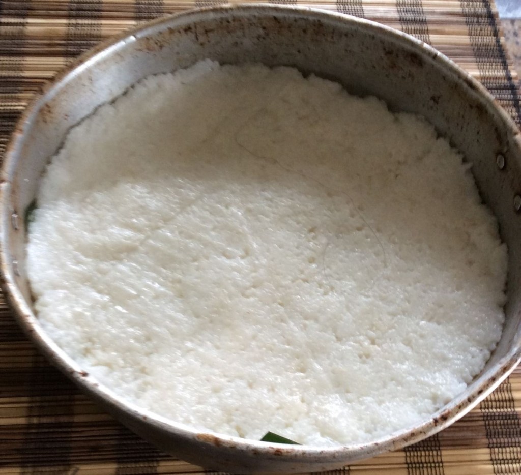 Nasi Impit (Compressed Rice)