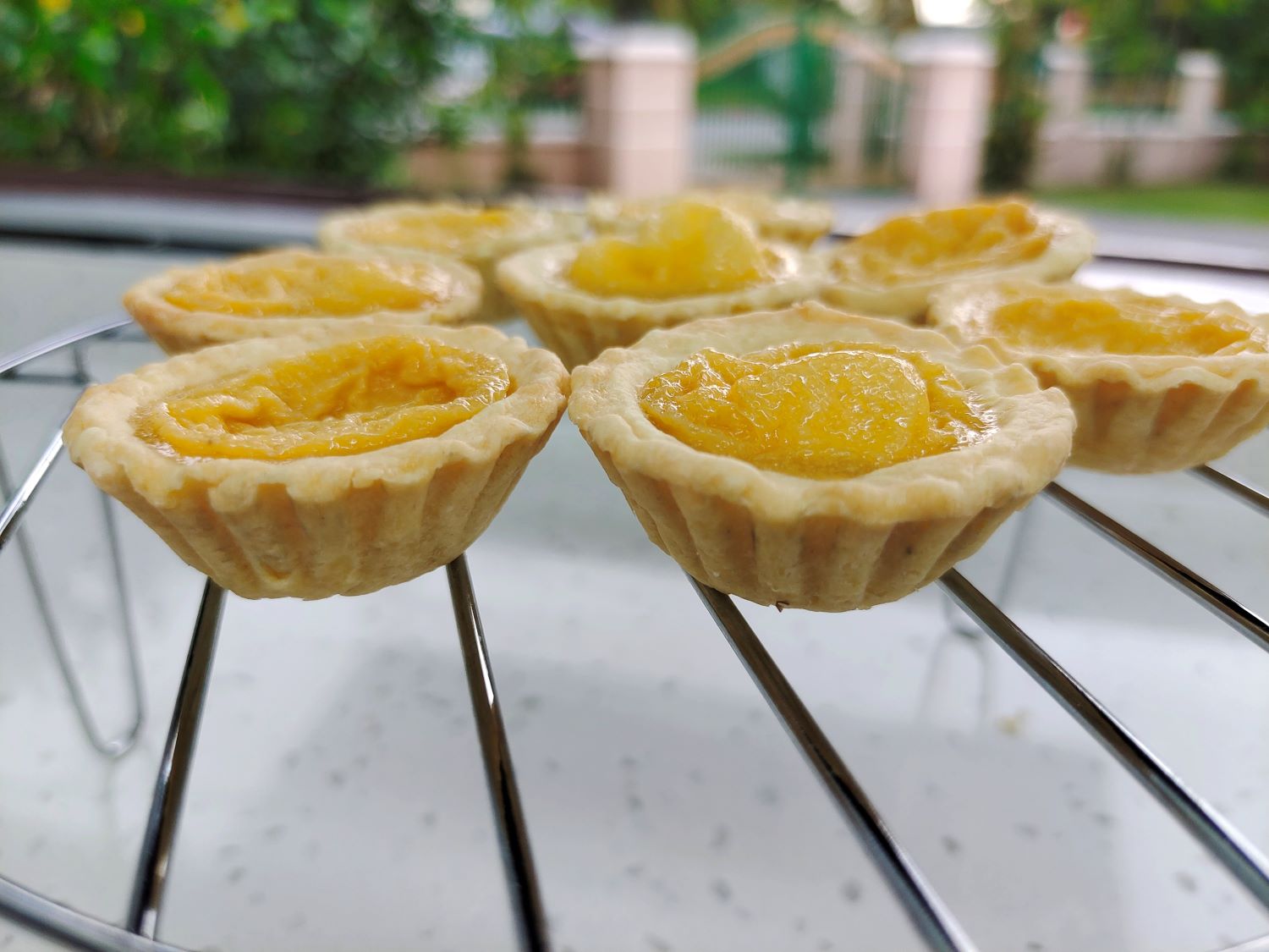 Bite sized egg tart