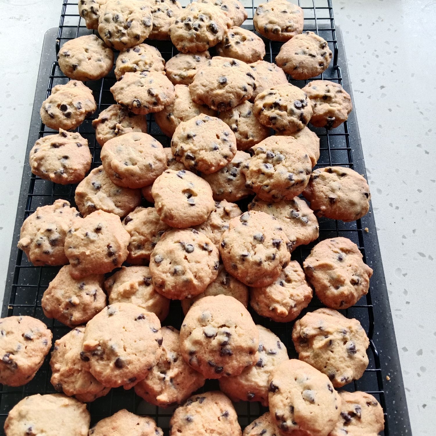Chocolate Chip Cookies by COCAKERY